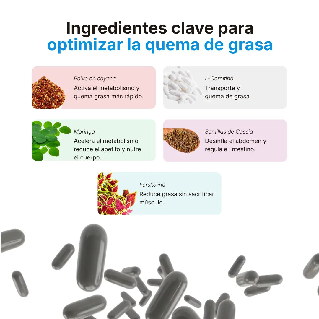 Quemador de Grasa Ultra Lipo