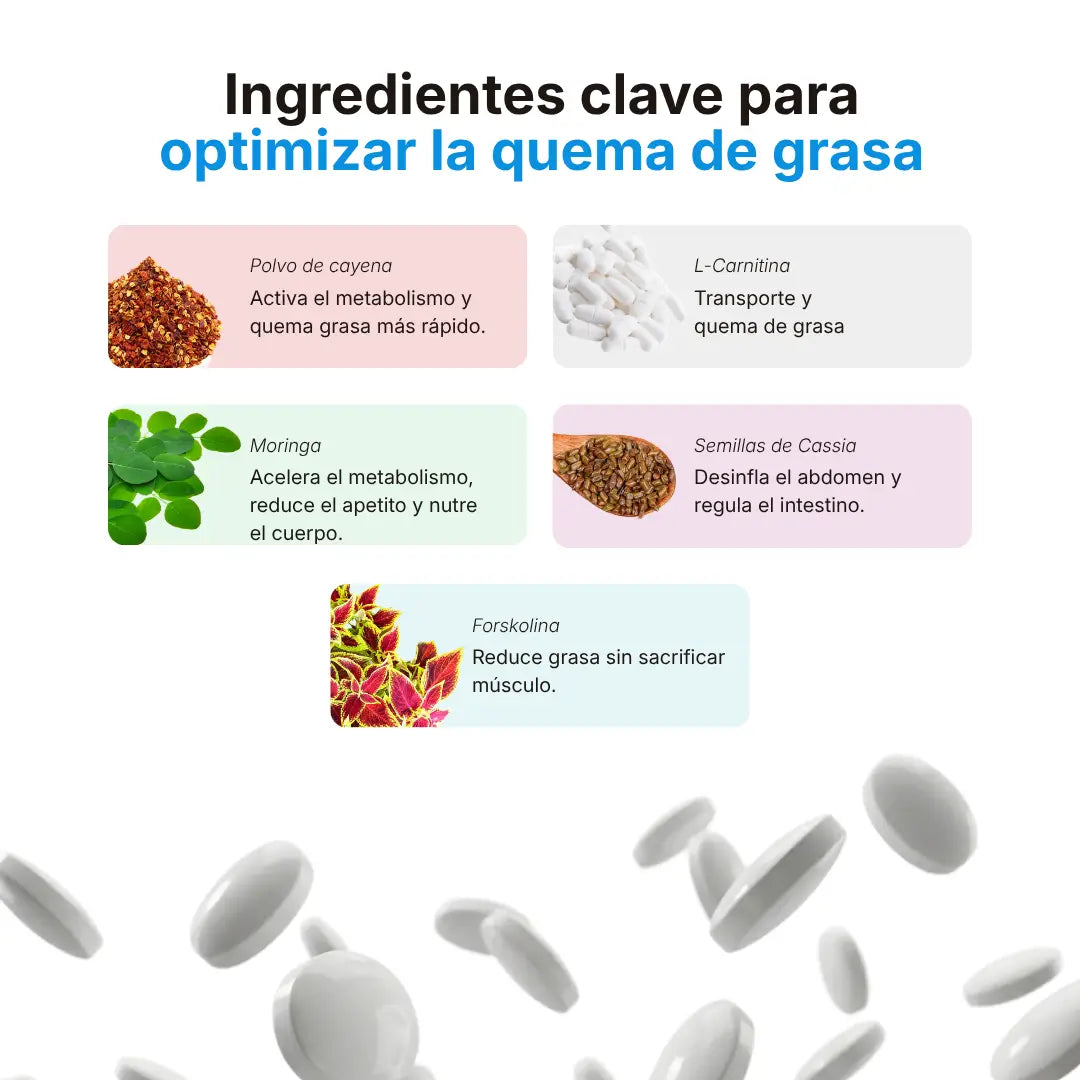Quemador Lipoblue supreme + Drainer ultra global