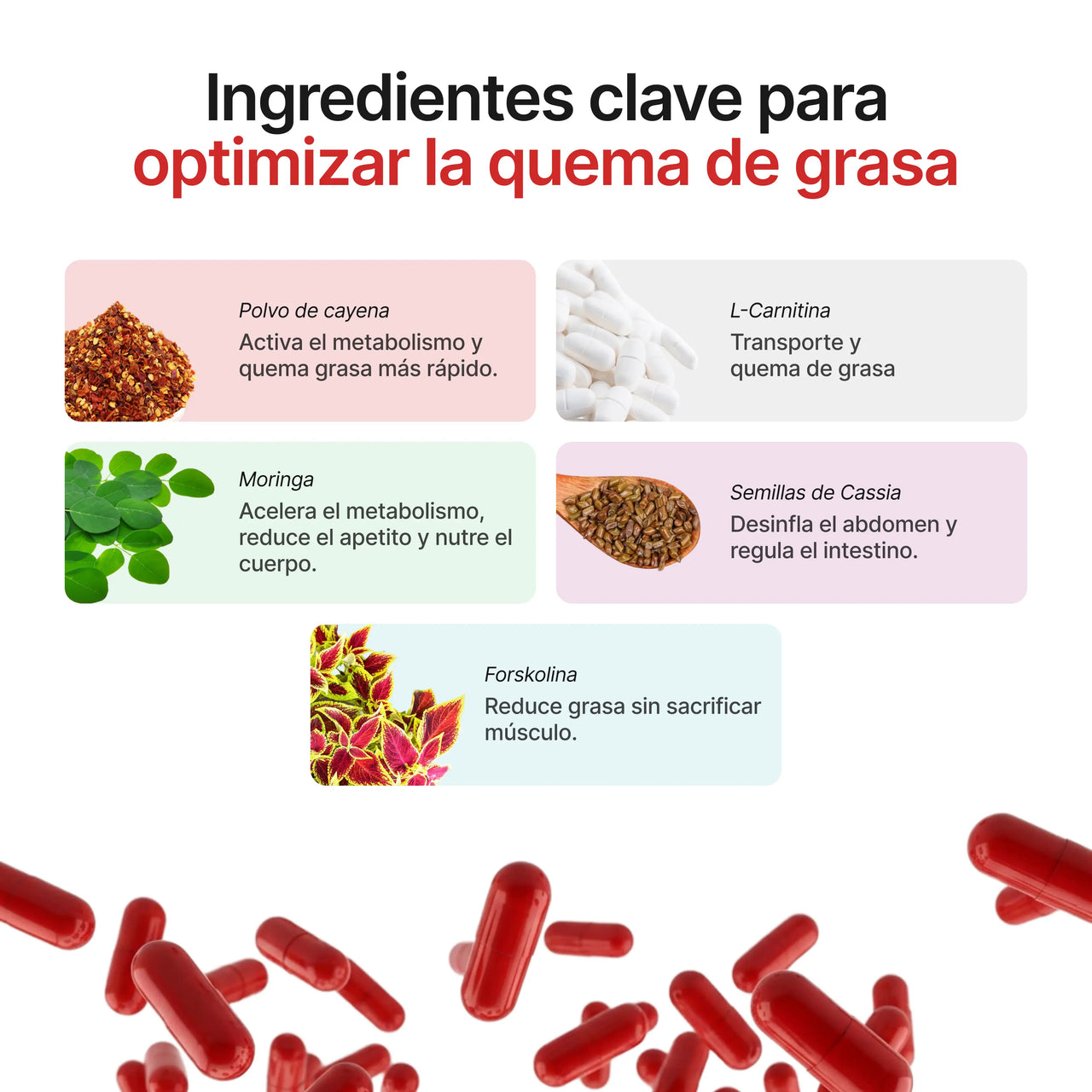 Quemador de Grasa G180 Plus