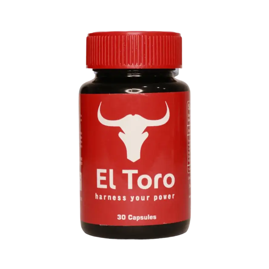 files/toro_1a032665-6e48-44dd-a8dc-5271e0807b6f.webp